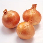 フレッシュオーガニック20kgパッキングイエローオニオン